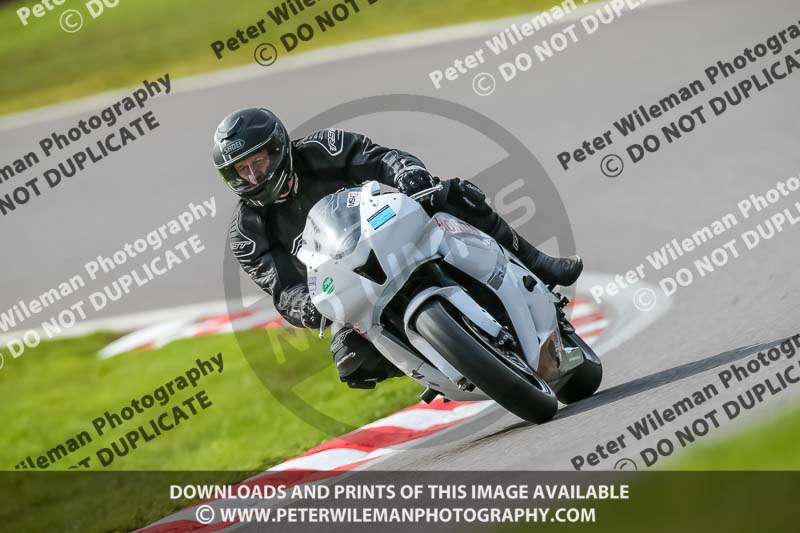 Oulton Park 21st March 2020;PJ Motorsport Photography 2020;anglesey;brands hatch;cadwell park;croft;donington park;enduro digital images;event digital images;eventdigitalimages;mallory;no limits;oulton park;peter wileman photography;racing digital images;silverstone;snetterton;trackday digital images;trackday photos;vmcc banbury run;welsh 2 day enduro